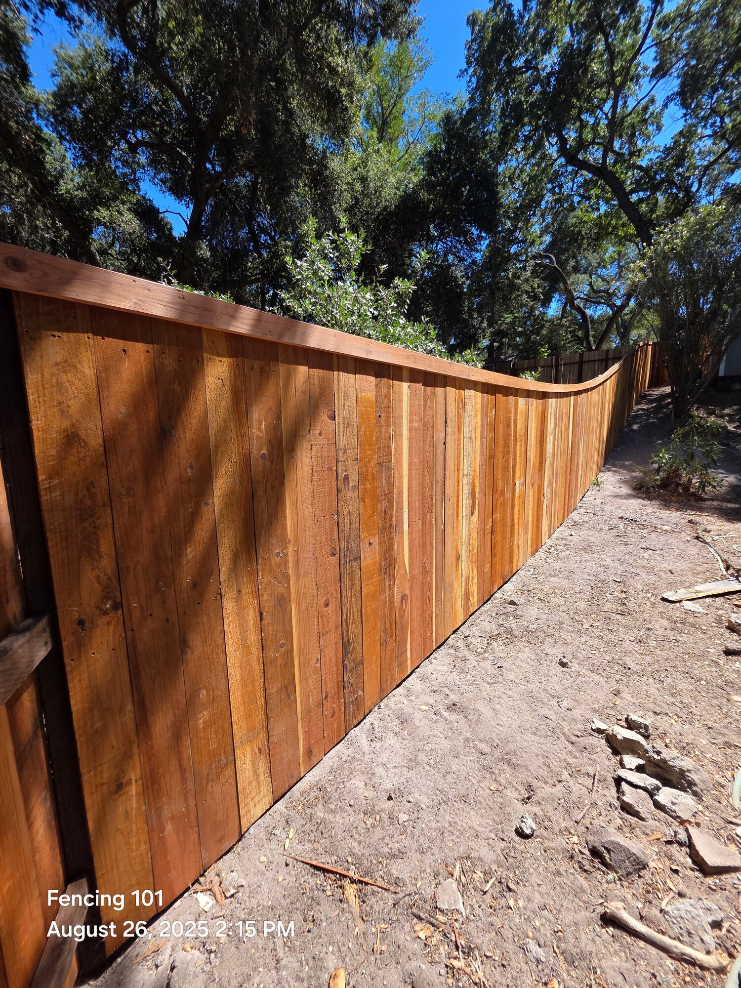 Wood board fence along a wooded path