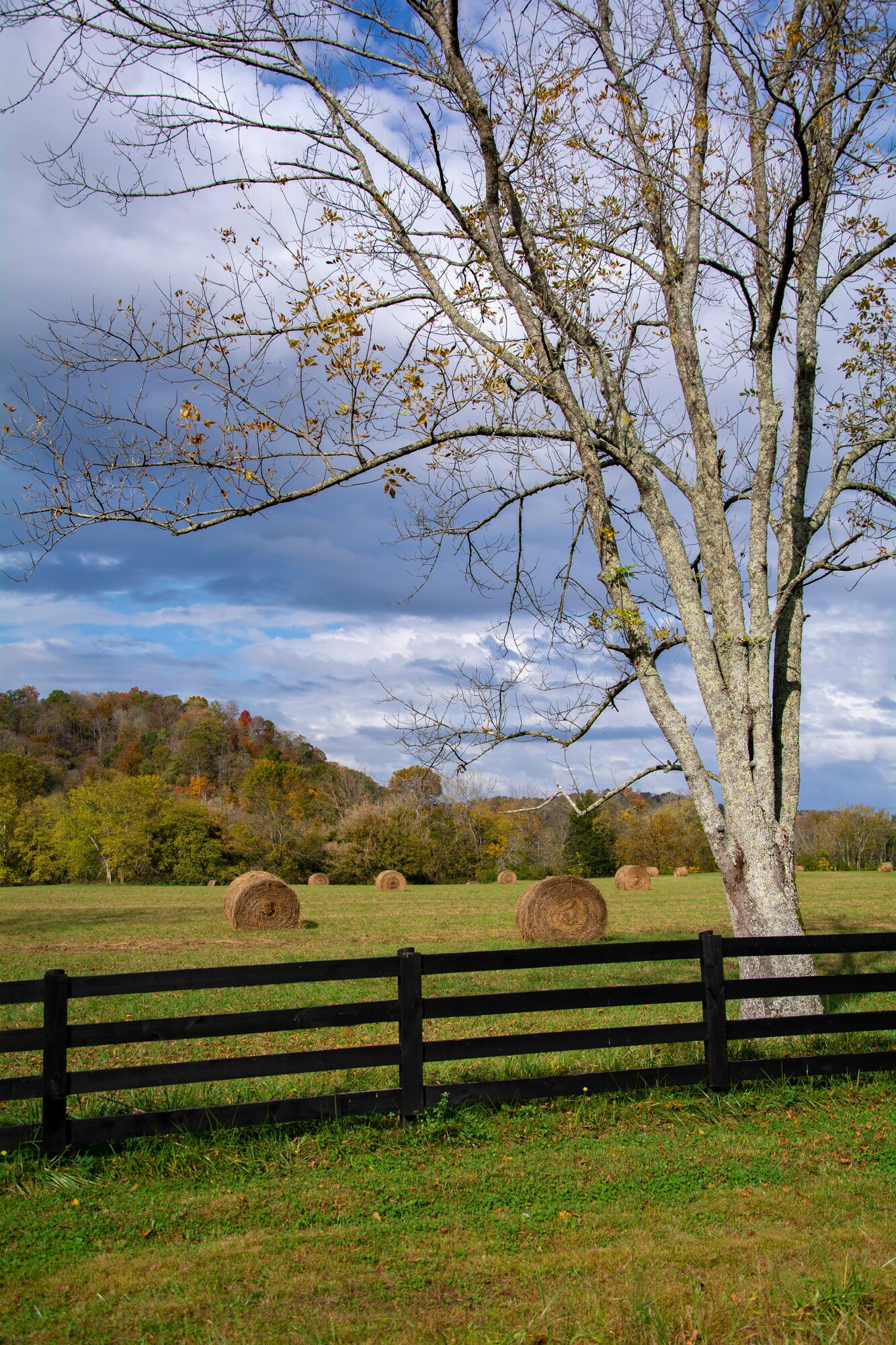 Ranch and Agricultural Fencing