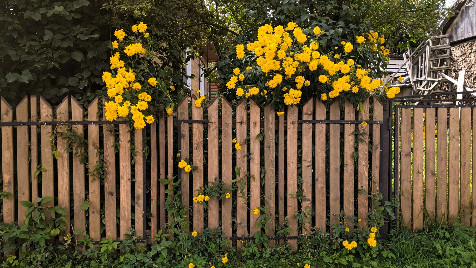 Ranch & Agricultural Fencing